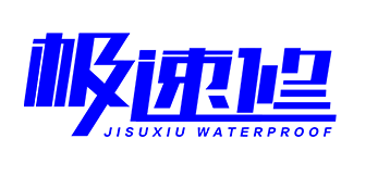 大連極速修科技有限公司logo